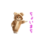 踊る！ダンス猫（着ぐるみ）（個別スタンプ：17）