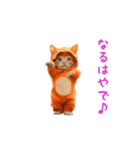 踊る！ダンス猫（着ぐるみ）（個別スタンプ：21）