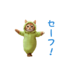 踊る！ダンス猫（着ぐるみ）（個別スタンプ：22）