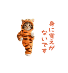 踊る！ダンス猫（着ぐるみ）（個別スタンプ：23）