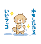 突撃！ラッコさん 雨のち晴れ（個別スタンプ：9）