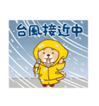 突撃！ラッコさん 雨のち晴れ（個別スタンプ：29）