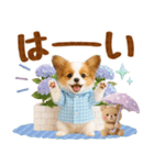 大人可愛いパピヨンで梅雨の気づかい敬語（個別スタンプ：3）