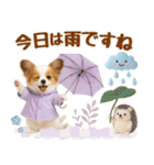大人可愛いパピヨンで梅雨の気づかい敬語（個別スタンプ：5）
