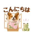 大人可愛いパピヨンで梅雨の気づかい敬語（個別スタンプ：11）