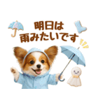大人可愛いパピヨンで梅雨の気づかい敬語（個別スタンプ：13）