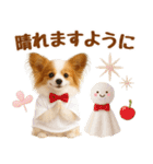 大人可愛いパピヨンで梅雨の気づかい敬語（個別スタンプ：15）