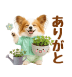 大人可愛いパピヨンで梅雨の気づかい敬語（個別スタンプ：17）