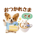 大人可愛いパピヨンで梅雨の気づかい敬語（個別スタンプ：19）