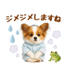 大人可愛いパピヨンで梅雨の気づかい敬語（個別スタンプ：23）