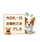 大人可愛いパピヨンで梅雨の気づかい敬語（個別スタンプ：28）