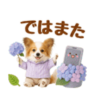 大人可愛いパピヨンで梅雨の気づかい敬語（個別スタンプ：31）