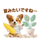 大人可愛いパピヨンで梅雨の気づかい敬語（個別スタンプ：33）