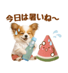 大人可愛いパピヨンで梅雨の気づかい敬語（個別スタンプ：34）