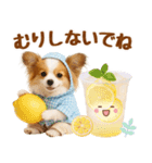 大人可愛いパピヨンで梅雨の気づかい敬語（個別スタンプ：36）
