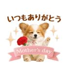 大人可愛いパピヨンで梅雨の気づかい敬語（個別スタンプ：39）