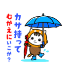 ベイビーホップ・ビビッド(夏と梅雨）（個別スタンプ：17）