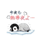 【夏スタンプ】ペンギン 夏＆日常会話（個別スタンプ：5）