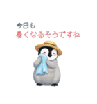 【夏スタンプ】ペンギン 夏＆日常会話（個別スタンプ：9）