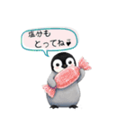 【夏スタンプ】ペンギン 夏＆日常会話（個別スタンプ：12）