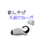 【夏スタンプ】ペンギン 夏＆日常会話（個別スタンプ：14）