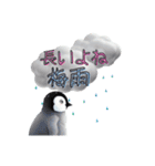 【夏スタンプ】ペンギン 夏＆日常会話（個別スタンプ：15）