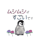 【夏スタンプ】ペンギン 夏＆日常会話（個別スタンプ：16）