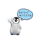 【夏スタンプ】ペンギン 夏＆日常会話（個別スタンプ：20）