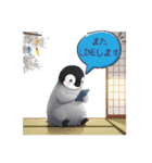 【夏スタンプ】ペンギン 夏＆日常会話（個別スタンプ：24）