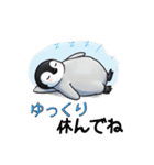 【夏スタンプ】ペンギン 夏＆日常会話（個別スタンプ：30）