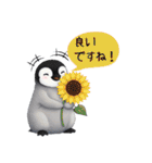 【夏スタンプ】ペンギン 夏＆日常会話（個別スタンプ：39）