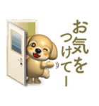 3Dまるっこマルプー 夏（個別スタンプ：22）