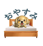 3Dまるっこマルプー 夏（個別スタンプ：40）
