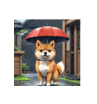 柴犬の日常9（個別スタンプ：25）