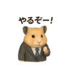お勤めキンクマハムスター（個別スタンプ：12）