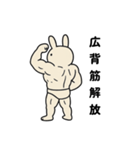 マッスル白うさぎ (筋肉を愛する界隈向け)（個別スタンプ：6）