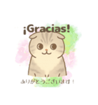 ほんわか癒しの猫スタンプEspañoly日本語（個別スタンプ：2）