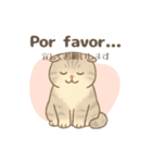 ほんわか癒しの猫スタンプEspañoly日本語（個別スタンプ：6）