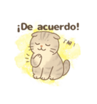 ほんわか癒しの猫スタンプEspañoly日本語（個別スタンプ：7）