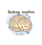 ほんわか癒しの猫スタンプEspañoly日本語（個別スタンプ：8）
