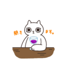 白井ねこさん（個別スタンプ：4）