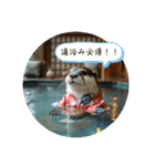 温泉旅 カワウソ にゃん子 ハムちゃん（個別スタンプ：1）