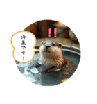 温泉旅 カワウソ にゃん子 ハムちゃん（個別スタンプ：3）