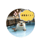 温泉旅 カワウソ にゃん子 ハムちゃん（個別スタンプ：5）