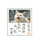 温泉旅 カワウソ にゃん子 ハムちゃん（個別スタンプ：30）