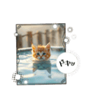 温泉旅 カワウソ にゃん子 ハムちゃん（個別スタンプ：31）