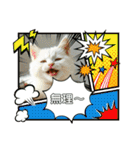 温泉旅 カワウソ にゃん子 ハムちゃん（個別スタンプ：32）