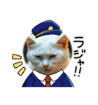 温泉旅 カワウソ にゃん子 ハムちゃん（個別スタンプ：33）