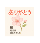 花ことばスタンプ24（個別スタンプ：1）