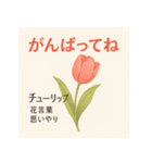 花ことばスタンプ24（個別スタンプ：3）